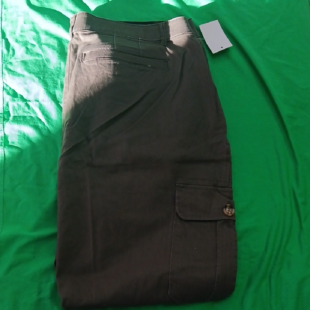 Democracy Pants - Picture 9 of 11